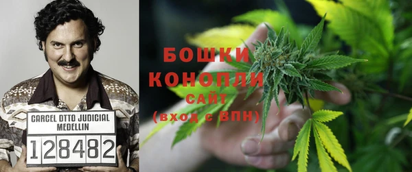 mix Гатчина