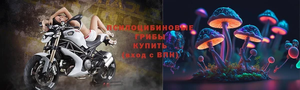 каннабис Арсеньев