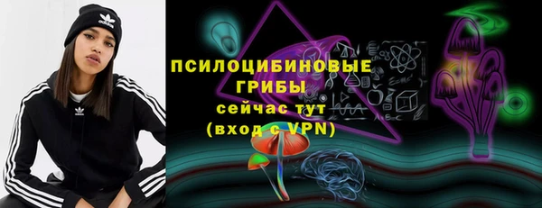 гидропоника Аркадак