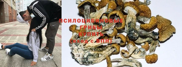 jwh Армянск