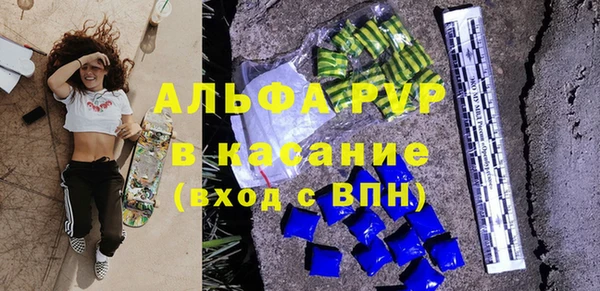 прущие грибы Галич