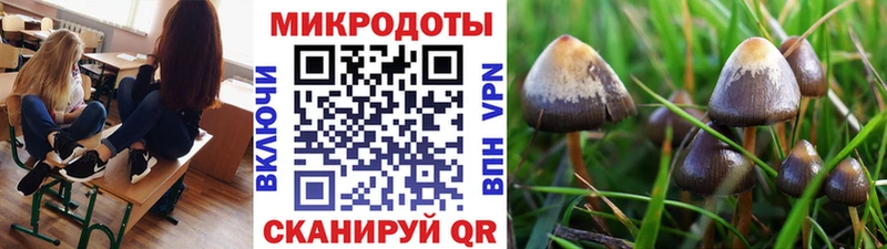 Галлюциногенные грибы GOLDEN TEACHER как найти наркотики это как зайти Заинск ОМГ ОМГ ссылка
