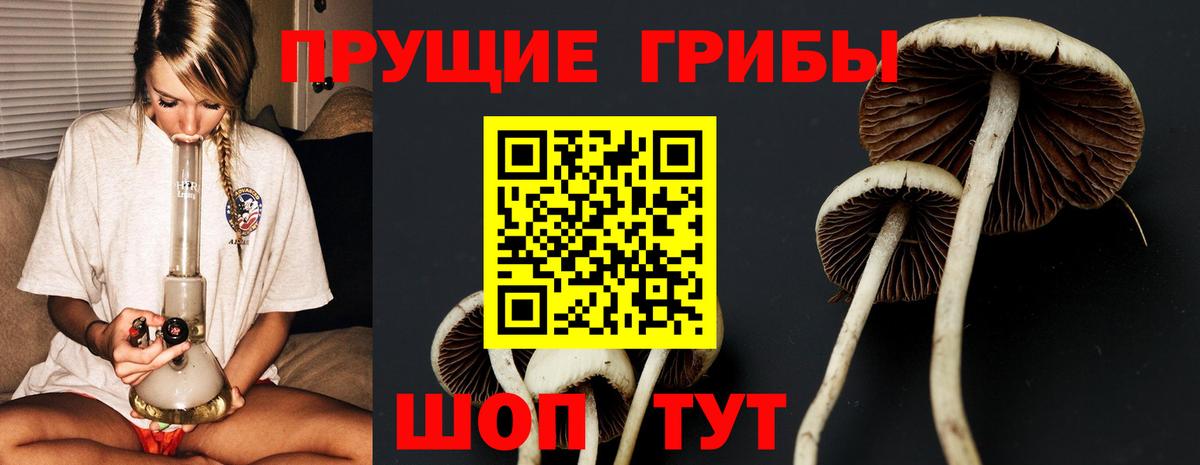 Псилоцибиновые грибы GOLDEN TEACHER Заинск