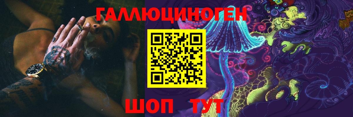 Галлюциногенные грибы GOLDEN TEACHER  Вход с VPN  Заинск 
